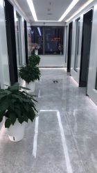 -悟空祛痘·诺奖技术专业店