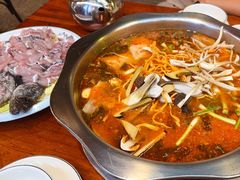 酸萝卜鱼火锅-大理.老字号渝记酸萝卜乌鱼(古城总店)