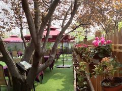 -万柳阁小馆·花园餐厅(龙潭湖店)