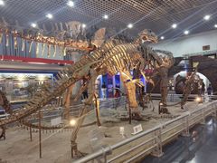 -国家自然博物馆