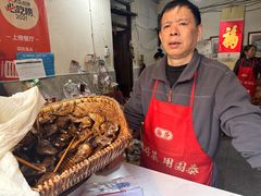 -邓氏兔头