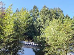 -北宫国家森林公园