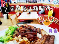 招牌隆江猪脚饭（大份）-瑞霖·隆江猪脚饭