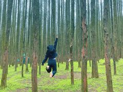 -山王坪喀斯特国家生态公园