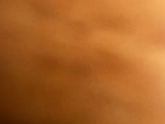 -上海电影博物馆