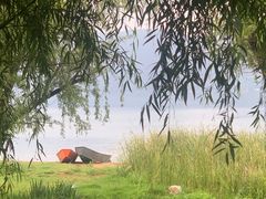 -阳宗海湿地