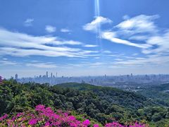 -广州市白云山风景名胜区