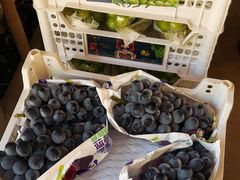 -马陆小张葡萄园农家乐