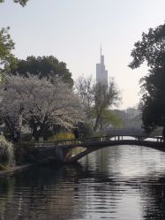 点击看大图 -玄武湖景区-情侣园游乐场