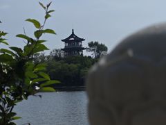 -莱西月湖公园
