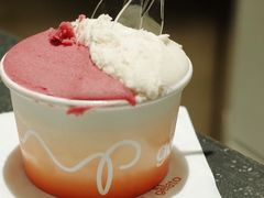 -Dip in Gelato(富民路店)