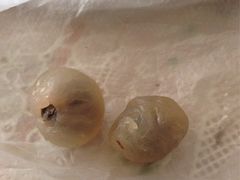 -小资小味(东门店)