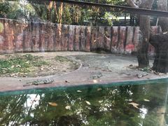 -清迈夜间动物园