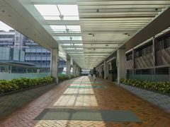-香港大学