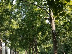 -西安汉城湖景区