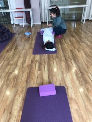 -弗蕾亚·和月月子调理院(东湖店)