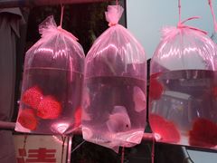 -华声天桥民俗文化园