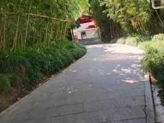 -三利音·浦之舟(滨江大道店)