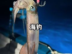 -珠海海泉湾度假区