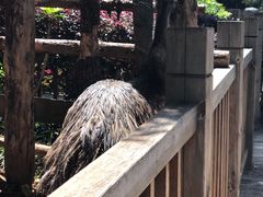 -昆明动物园