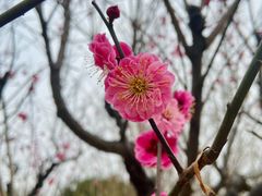 -北京明城墙遗址公园