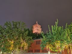 -大慈恩寺(大雁塔)