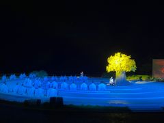 -鼎盛王朝康熙大典实景演出