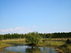 -上海长兴岛郊野公园