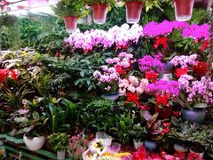 -三旗百汇商品城