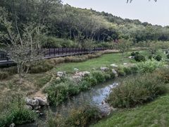 -羊山湖公园