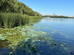 -长春市南湖公园