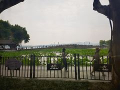 -西湖游船