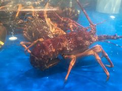 -盒马鲜生(杭州运河上街店)