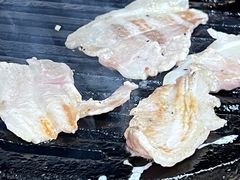 猪五花-大槐树烤肉馆