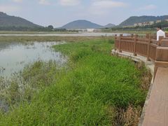 -风云岭森林公园