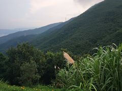 -东部华侨城