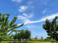 -大连海昌东方水城