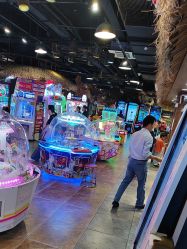 -卡通尼·Safari非洲探索乐园·生日会(金桥国际商业广场店)