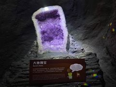 -正佳自然科学博物馆