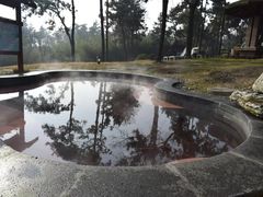 -东海森林温泉度假酒店