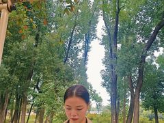 -东湖落雁景区