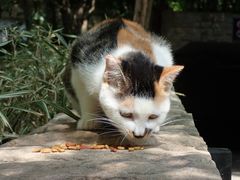 -苏州河梦清园环保主题公园