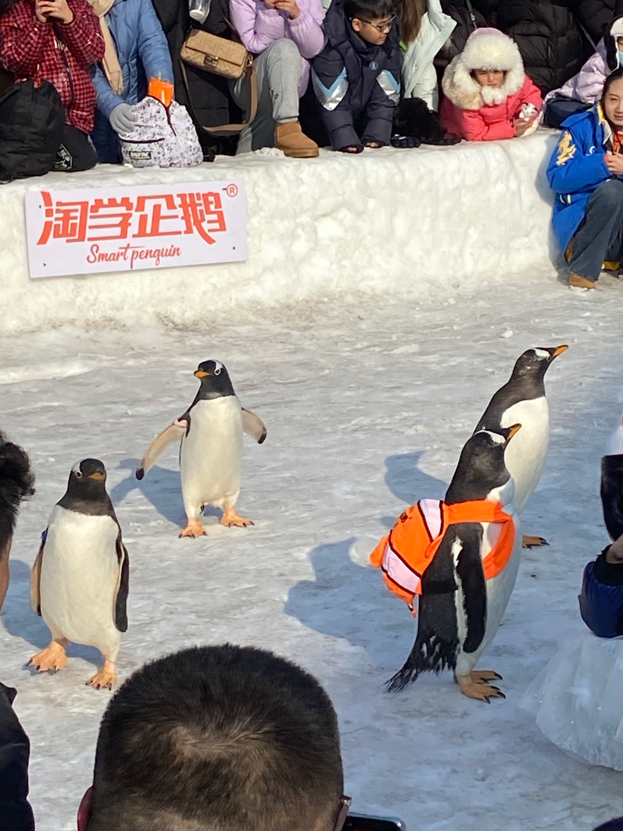 哈尔滨极地馆购物商场图片