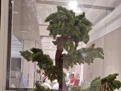 -小八仙·宴(三峡茶庄店)