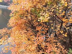 -秦岭终南山世界地质公园翠华山景区
