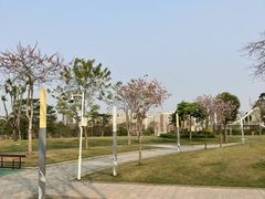 -白石龙音乐公园