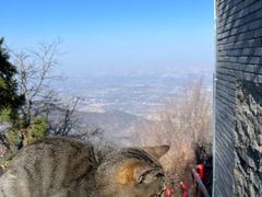 -终南山南五台景区