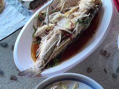 -永红源啤酒·烧烤·海鲜·大排档(台柳路店)