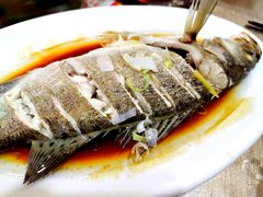 -大丰收海鲜酒楼·专业餐饮30年(连云港老字号店)