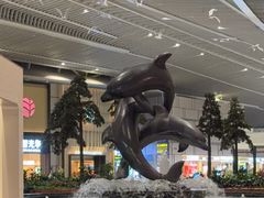 -青岛胶东国际机场